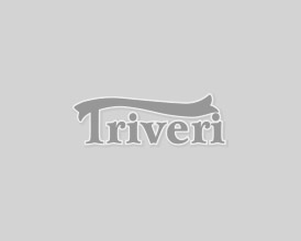 Triveri